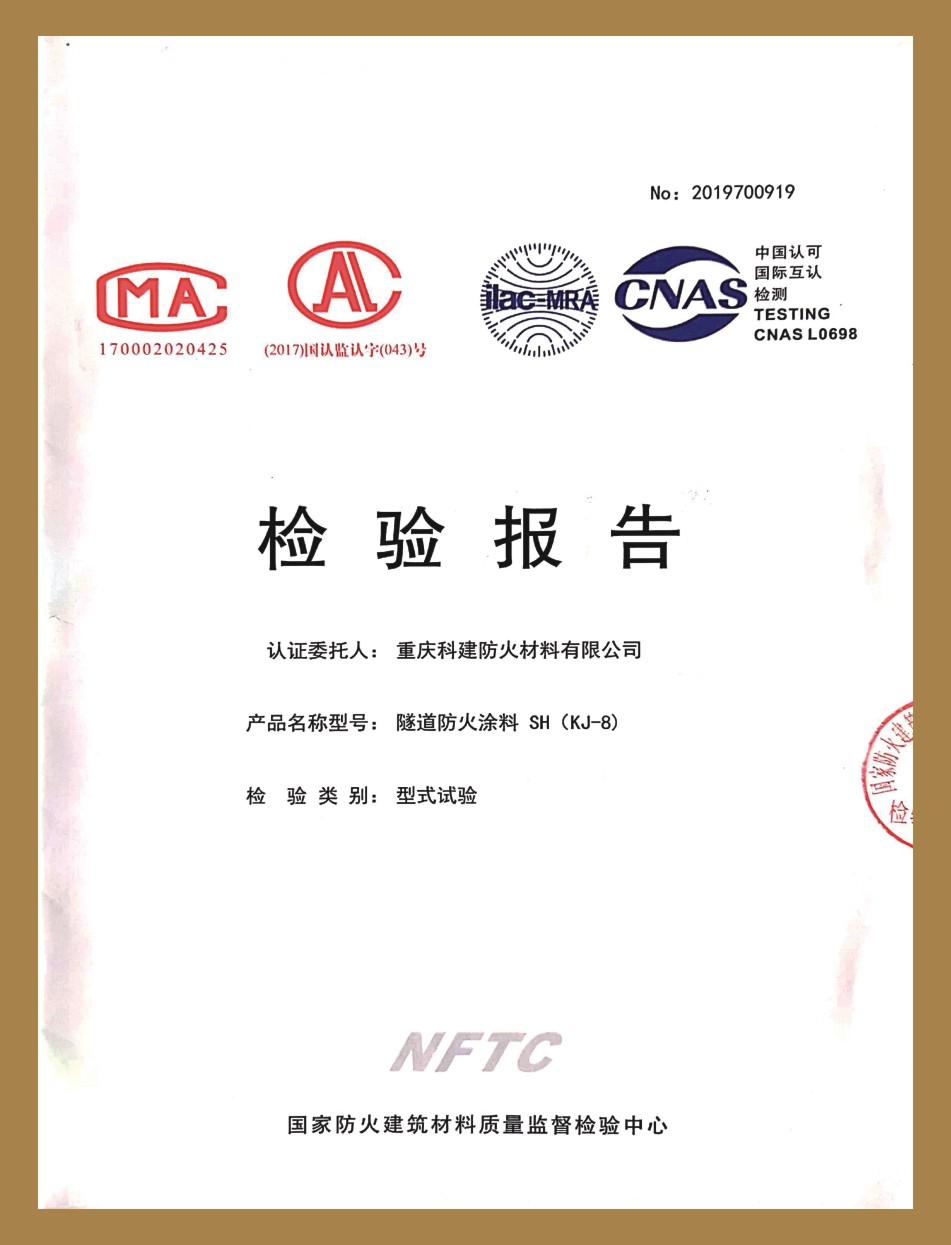 檢驗(yàn)報(bào)告